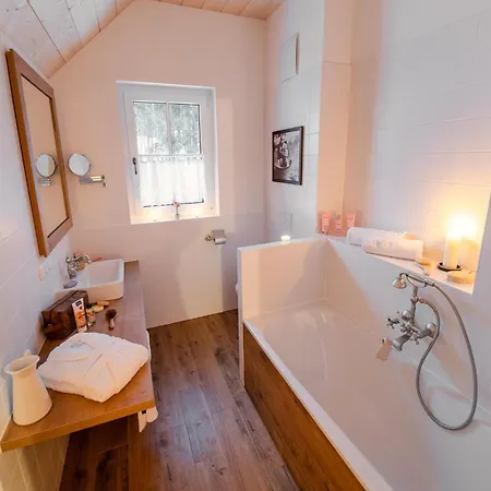 Near With Sauna *