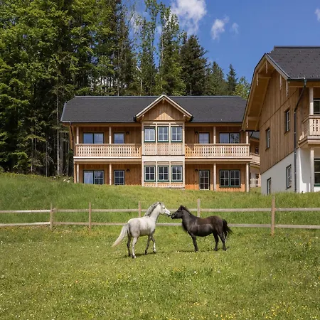 Holiday home Exclusive With Sauna & Mountain Panorama *